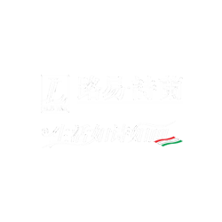 視頻~意大利路易詩蘭進口藝術涂料優勢