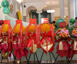 LOUIS LONG丨祝賀路易詩蘭南寧富安居店隆重開業(yè)，大展宏圖