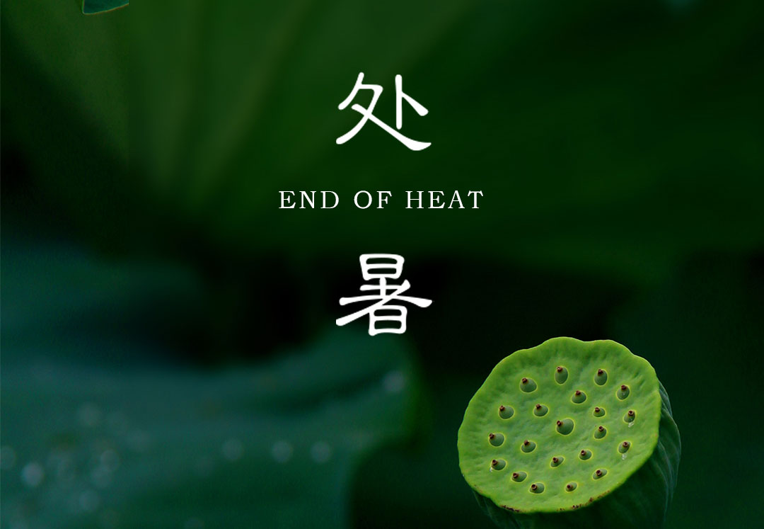 處暑｜裊裊秋風(fēng)起 最美人間秋